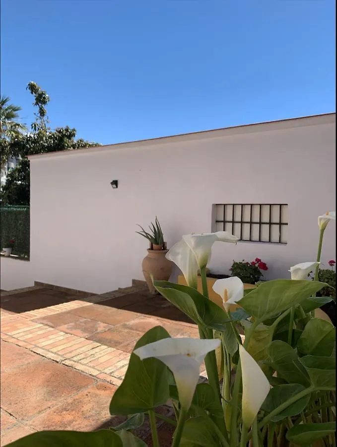 Novedad Suite Centrico Con Porche Y Jardin Torremolinos